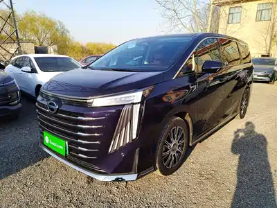 Trumpchi E9