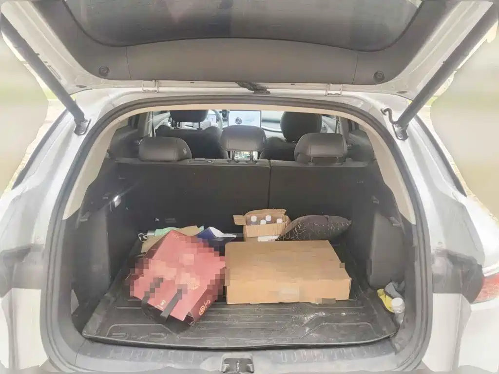 BYD Yuan PLUS 2025 2025 Smart Drive 510KM Surpass Edition