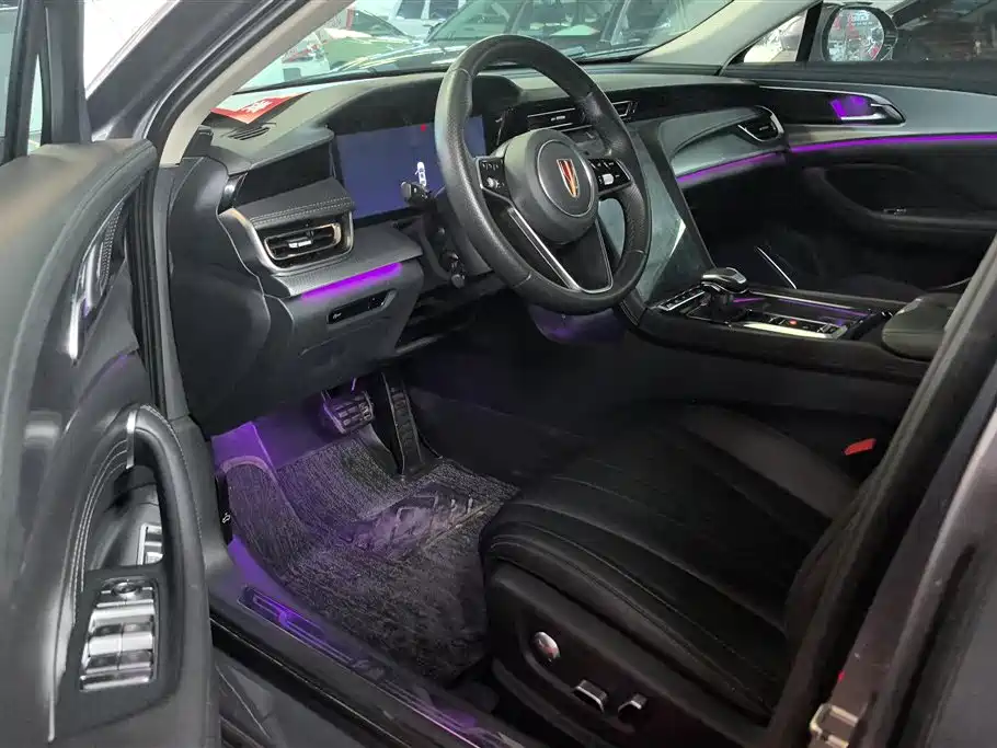 Hongqi H5 2023 2.0T Auto Smart Connect Flag Comfort фото 9