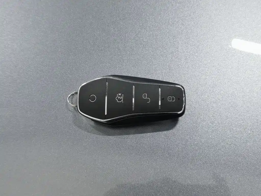 BYD Destroyer 05 2025 2024 Glory Edition DM-i 55KM Luxury