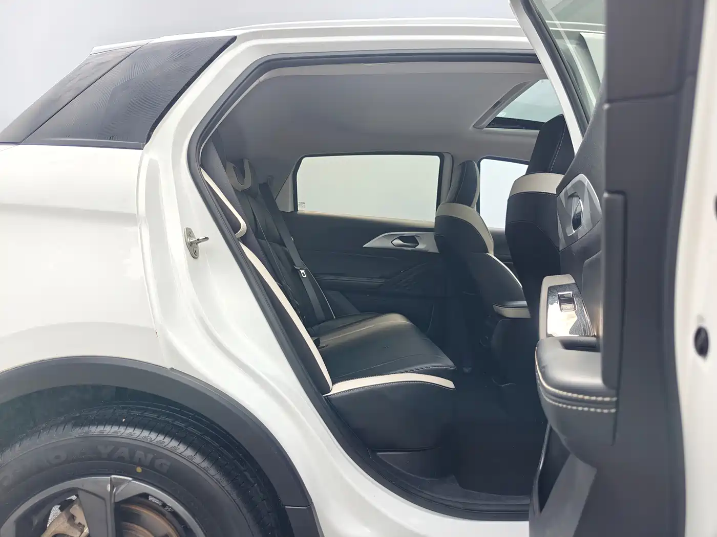 Geely Geometry E Firefly 2023 2023 401KM Linglong Tiger 5-Seater