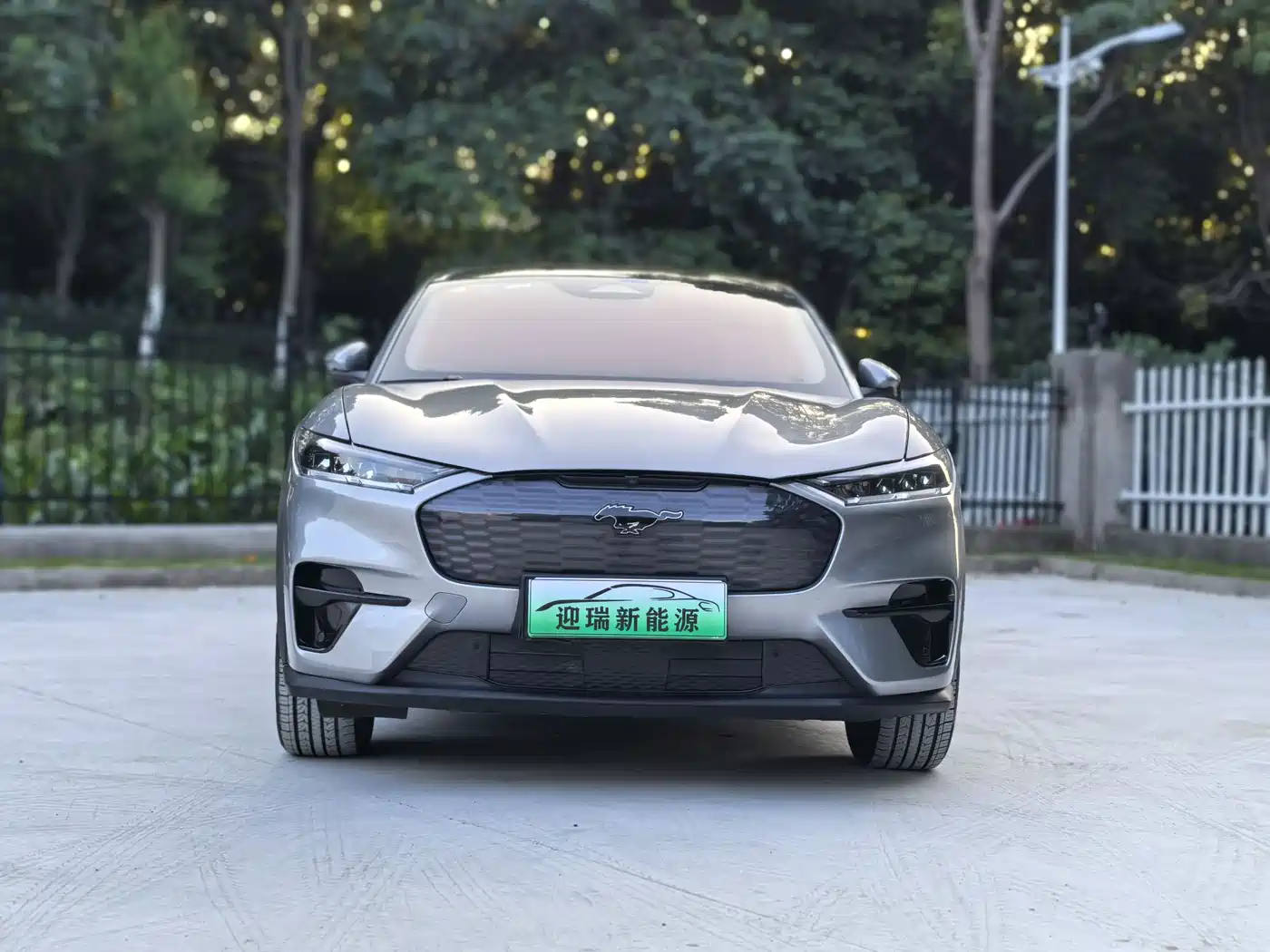 Ford Mustang Mach-E 2021 Leap World RWD (Standard Range) фото 2