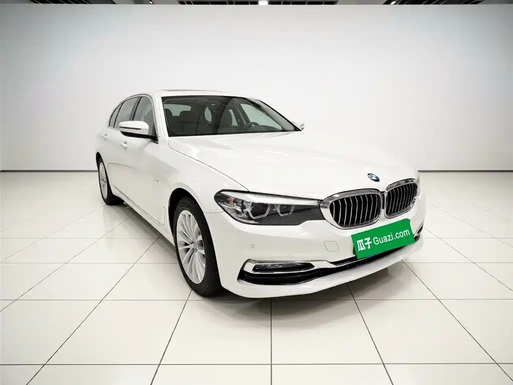 BMW 5 Series 2018 530Li xDrive Luxury Package фото 7