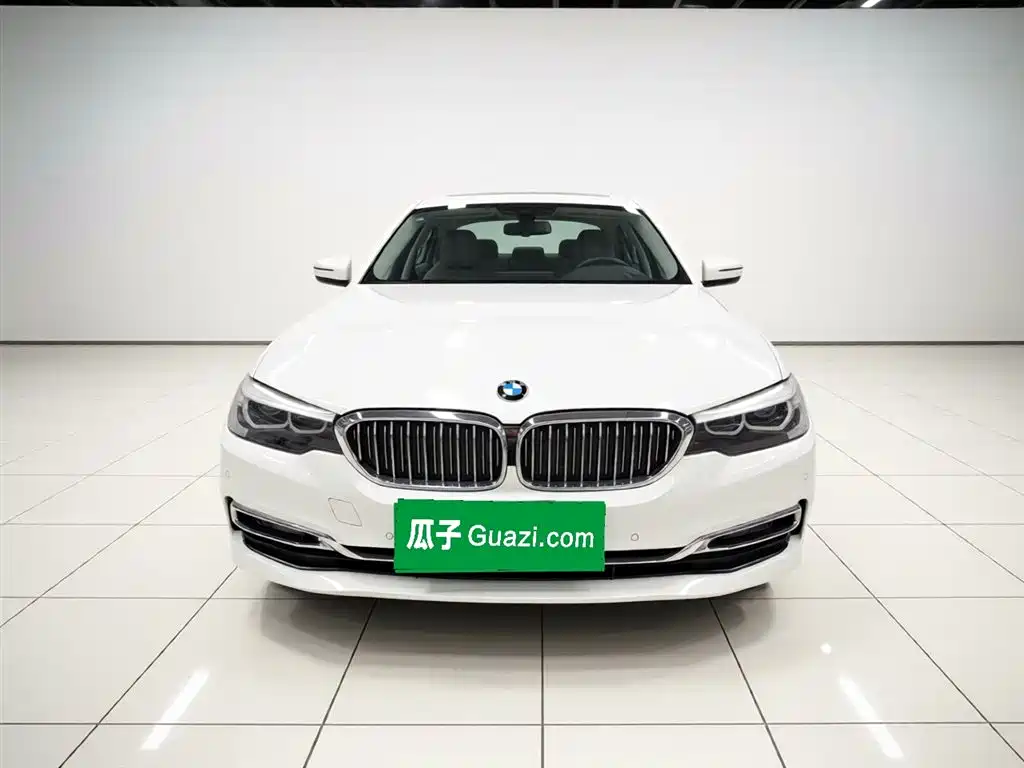 BMW 5 Series 2018 530Li xDrive Luxury Package фото 5