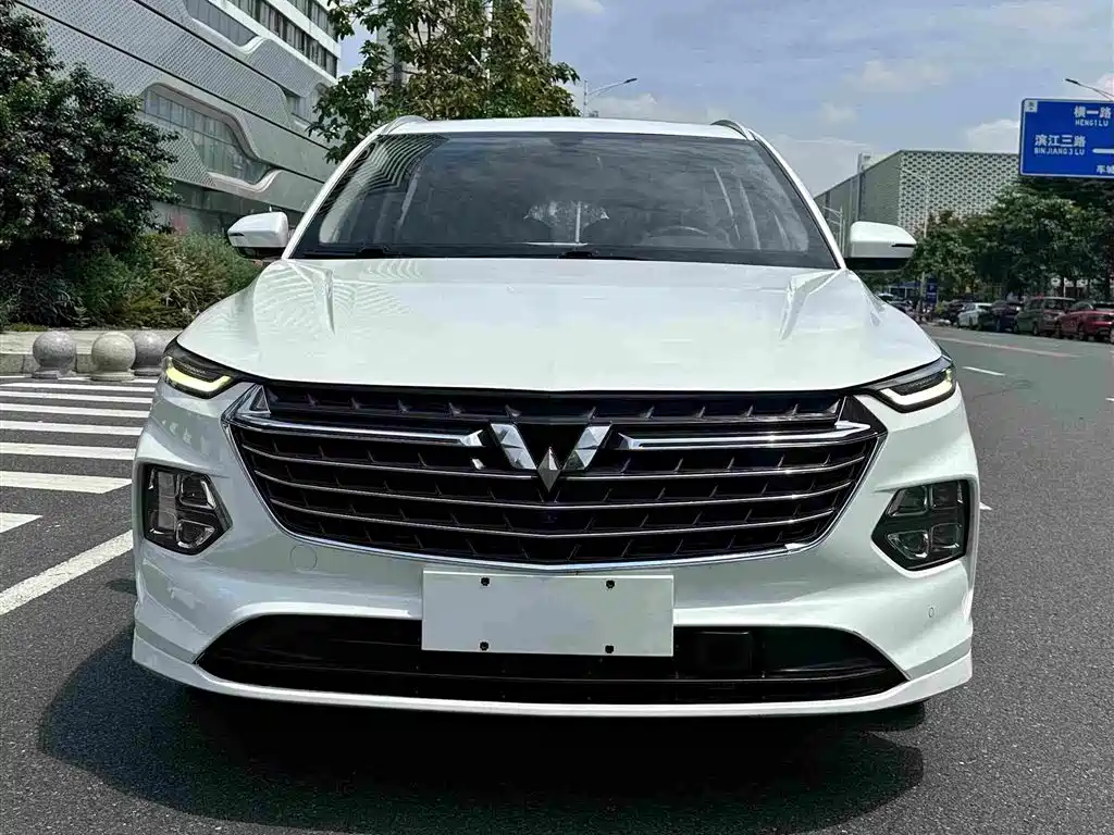Wuling Motors Wuling Victory 2020 2020 1.5T CVT Flagship