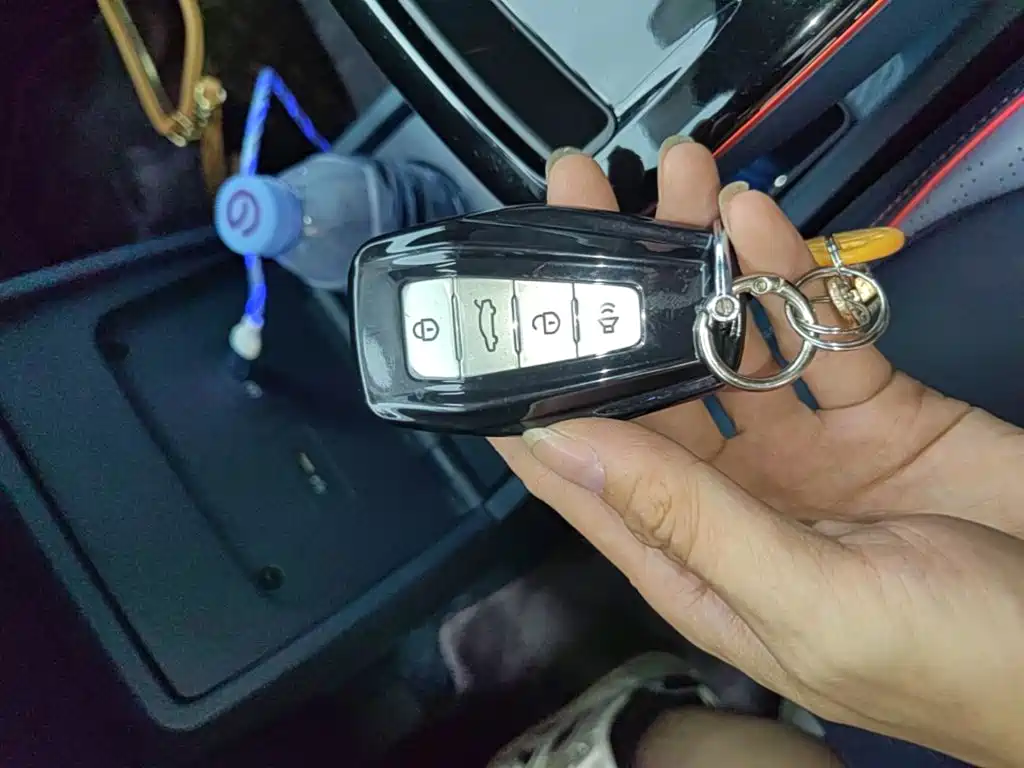 Geely Geometry E Firefly 2022 2023 401KM Linglong Tiger 5-Seater