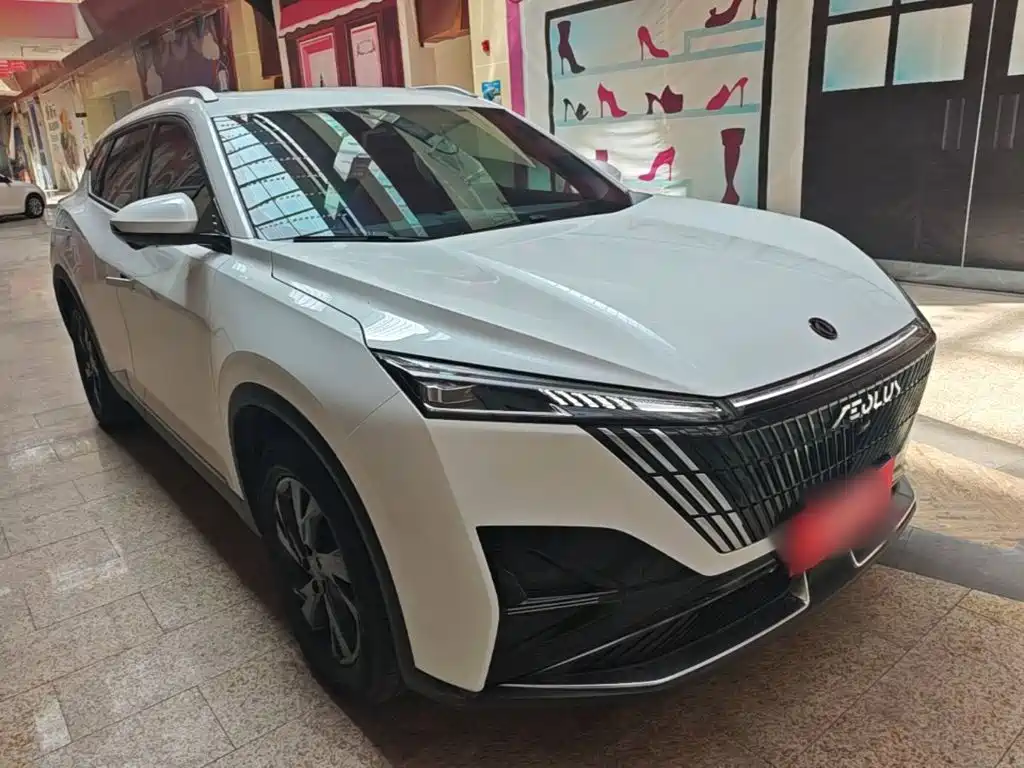 2025 Dongfeng Aeolus Haohan