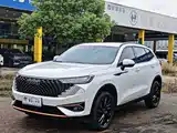 صورة 1 - Haval H6