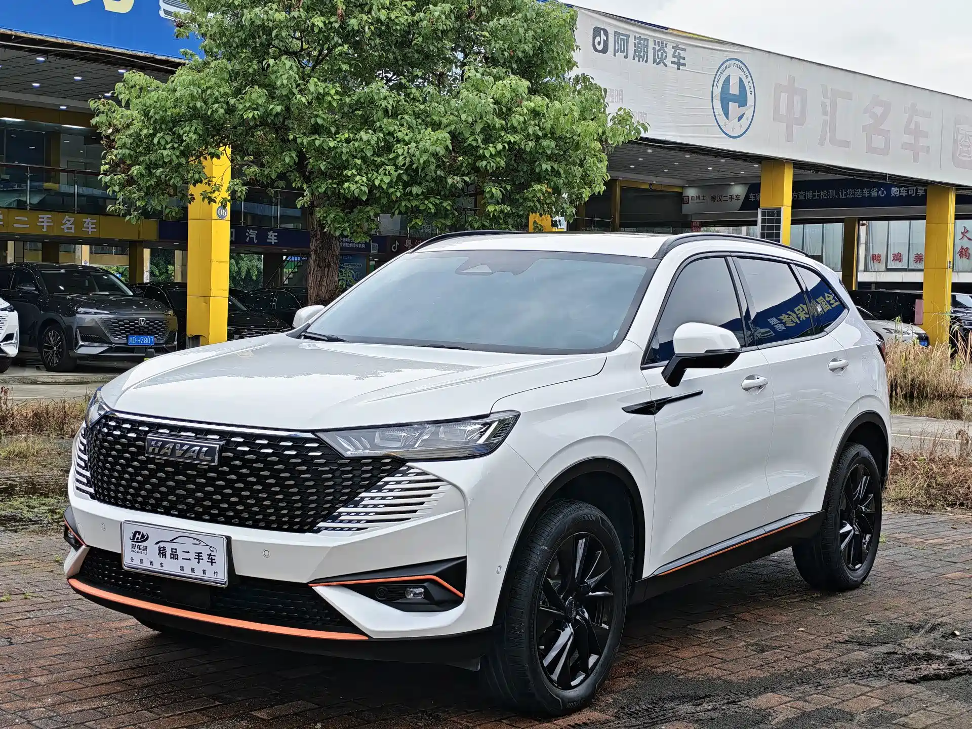 صورة 1 - Haval H6