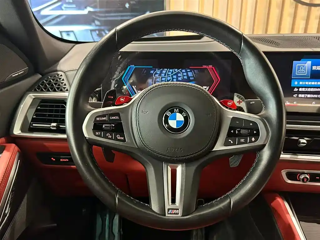 Photo 7 - BMW X6 M