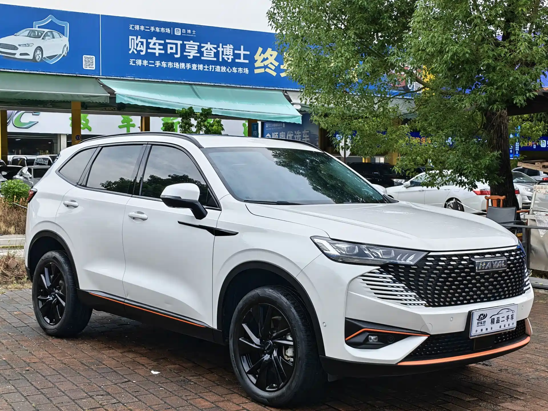 صورة 3 - Haval H6