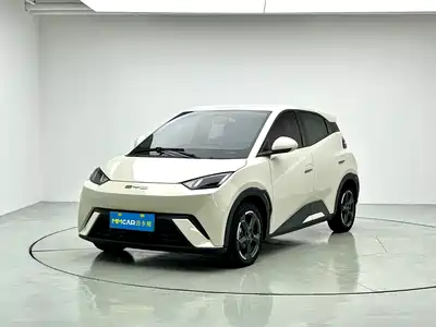 BYD Seagull