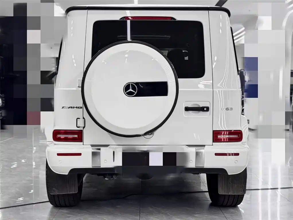 Mercedes-Benz G-Class 2019 G 500 фото 5