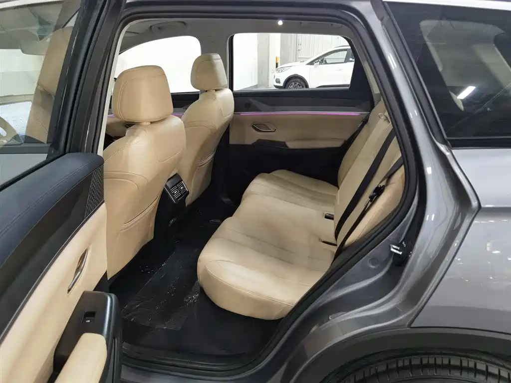 BYD SONGJIANG NEW ENERGY