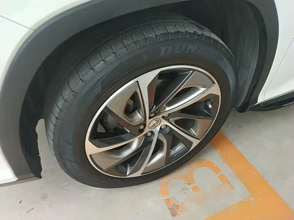 Фото 23 - Lexus RX