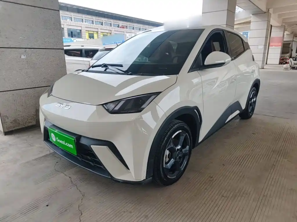 BYD Seagull 2024 Glory Edition 305km Freedom Edition