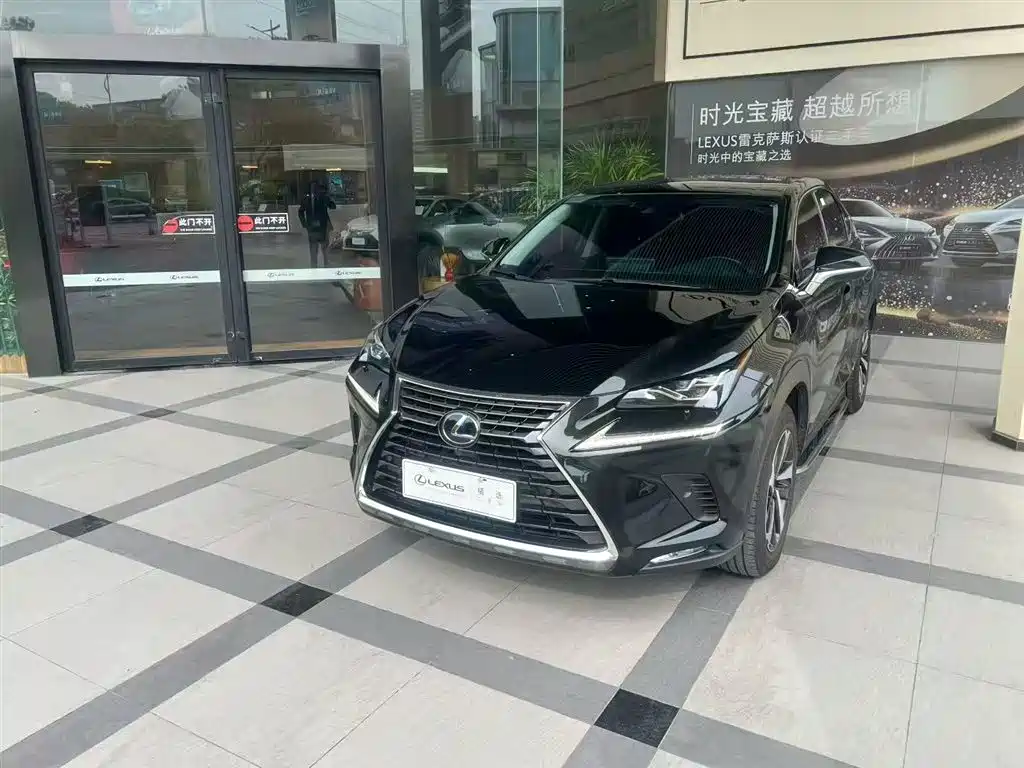 LEXUS NX