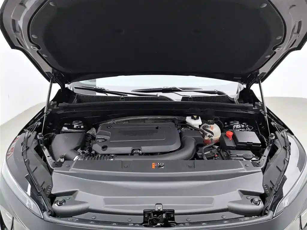 BUICK ANGKEWEI PLUS