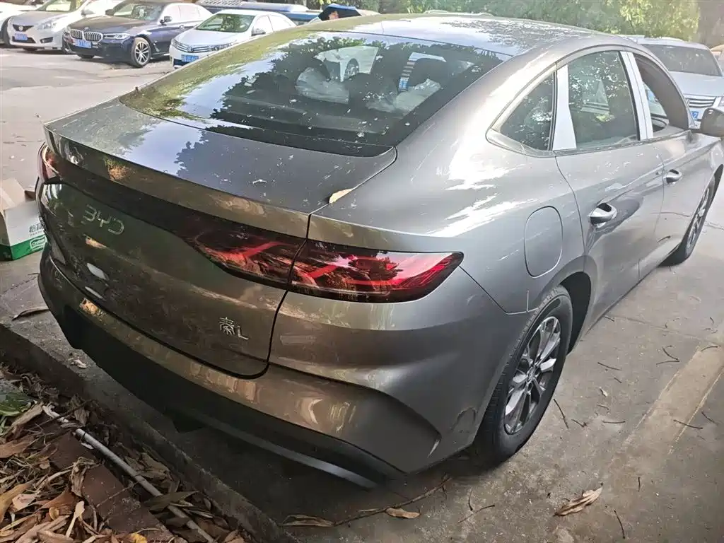 BYD Qin L 2024 DM-i 80KM Leading Edition фото 7