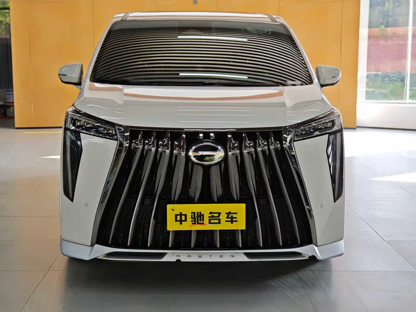 GAC Trumpchi Trumpchi M8 2023 Model Master Series 400T Ultimate Edition фото 2