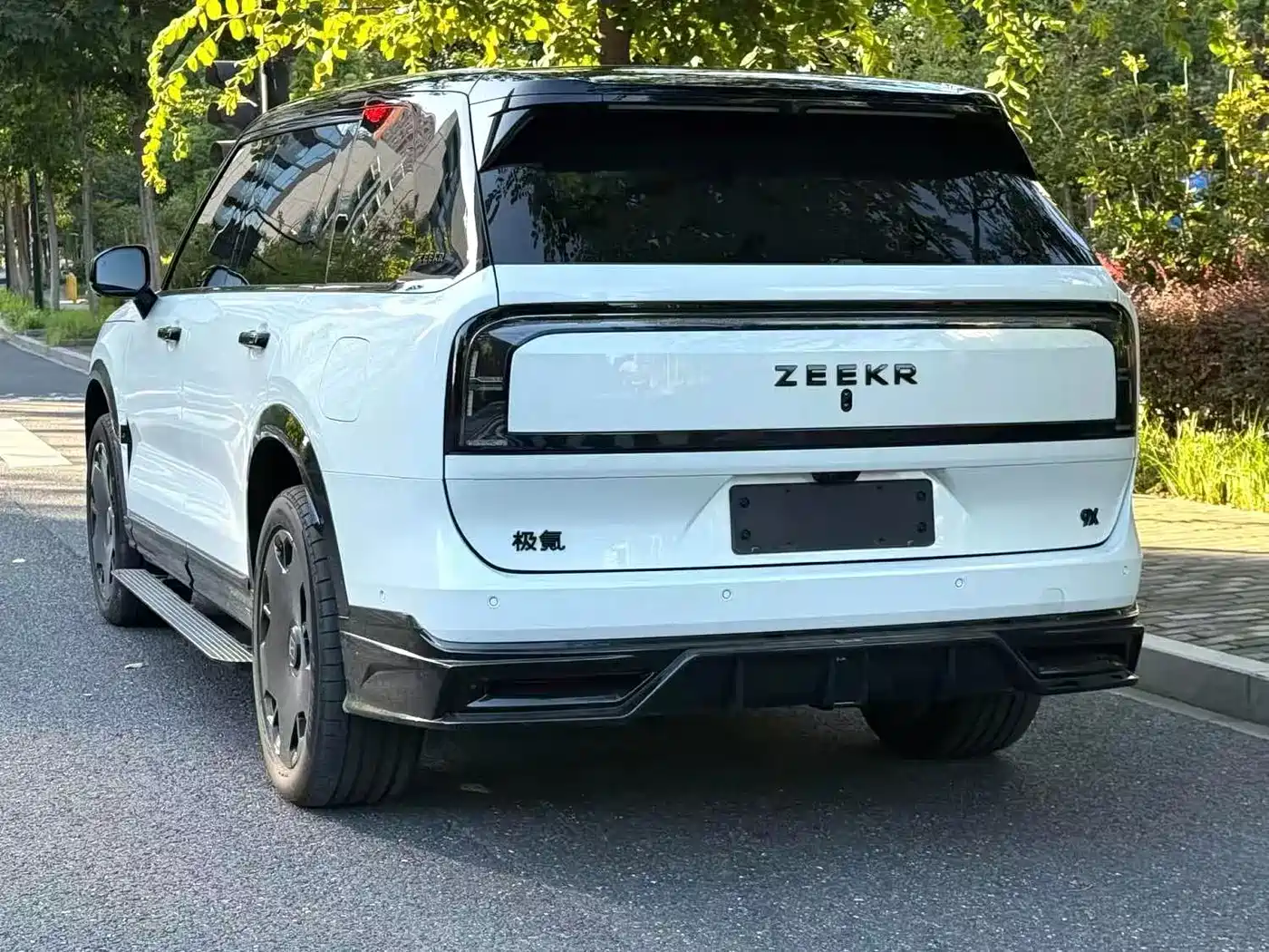 ZEEKR 9X 2026 2025 Model Standard