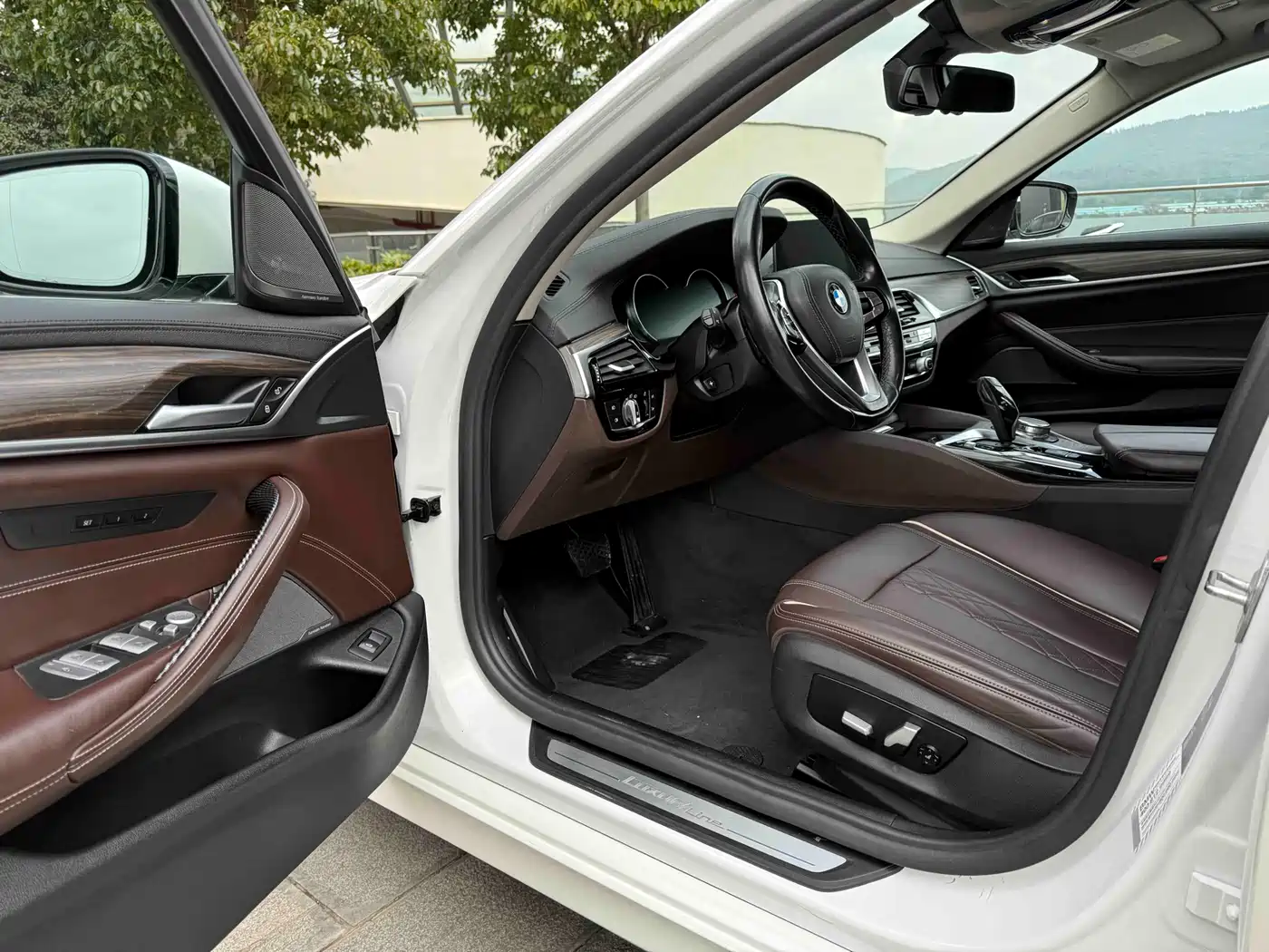 BMW 5 Series 2018 Facelift 530Li Exclusive Luxury Package фото 4
