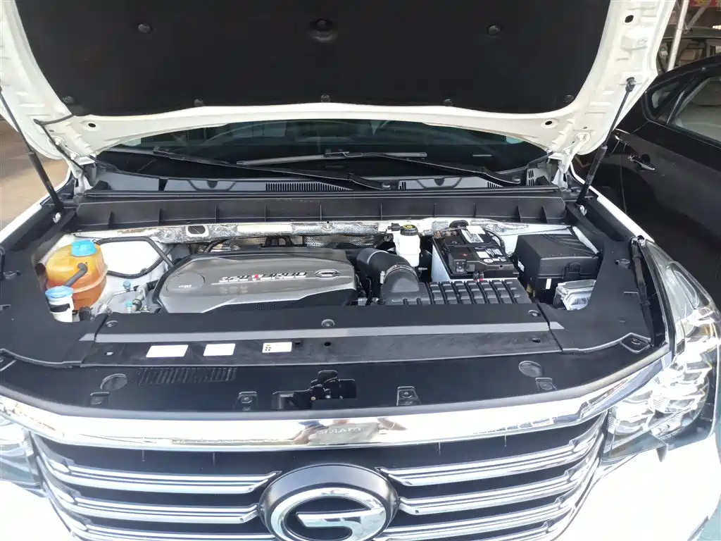 GAC Trumpchi Trumpchi GS8 2017 320T 2WD Luxury Smart Connect (7-seater) фото 16