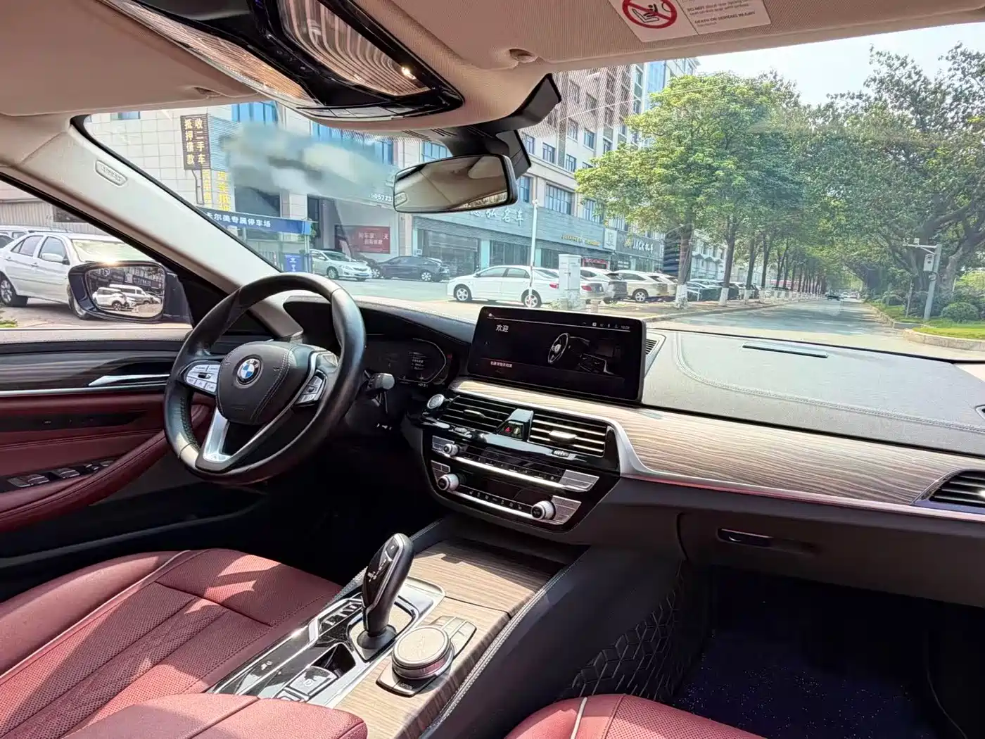 BMW 5 Series 2022 530Li Leading Luxury Package фото 7