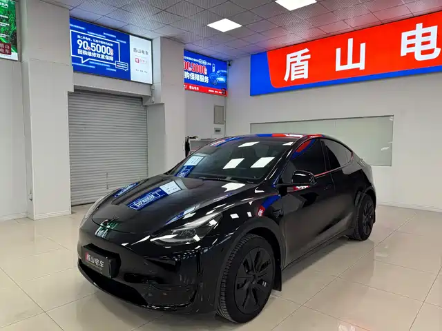 Tesla Model Y 2021 Standard Range Rear-Wheel Drive