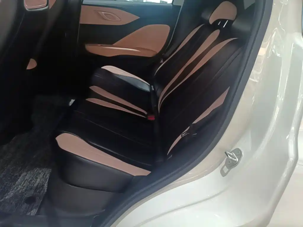 BYD Seagull 2026 2025 Smart Drive Edition 305km Vitality Version