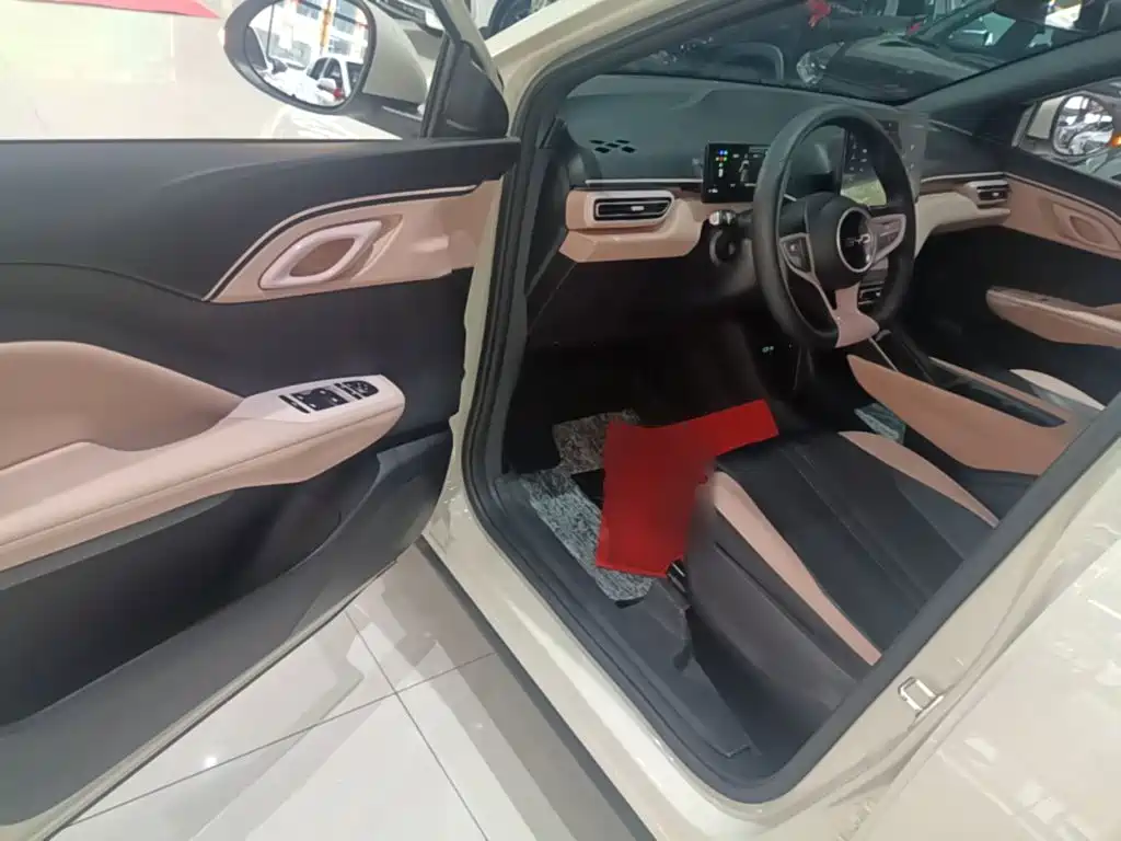 BYD Seagull 2026 2025 Smart Drive Edition 305km Vitality Version