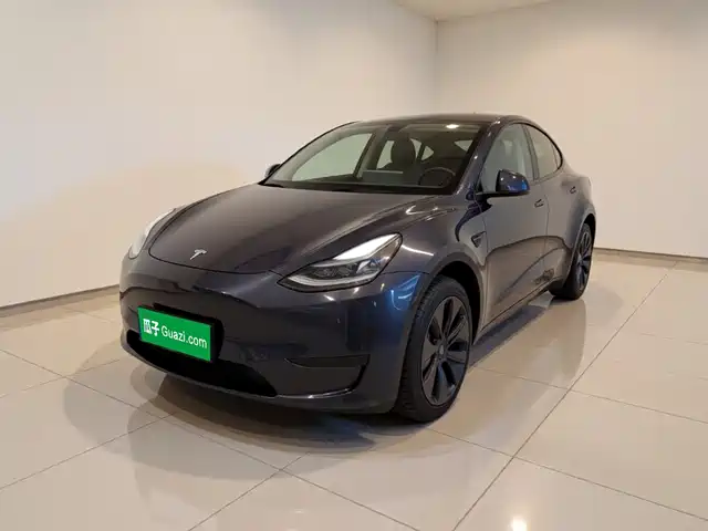 Tesla Model Y Задний привод