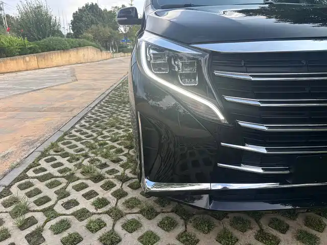 GAC Trumpchi Trumpchi M8 2023 Leading Series 390T Premium Edition — фото 4