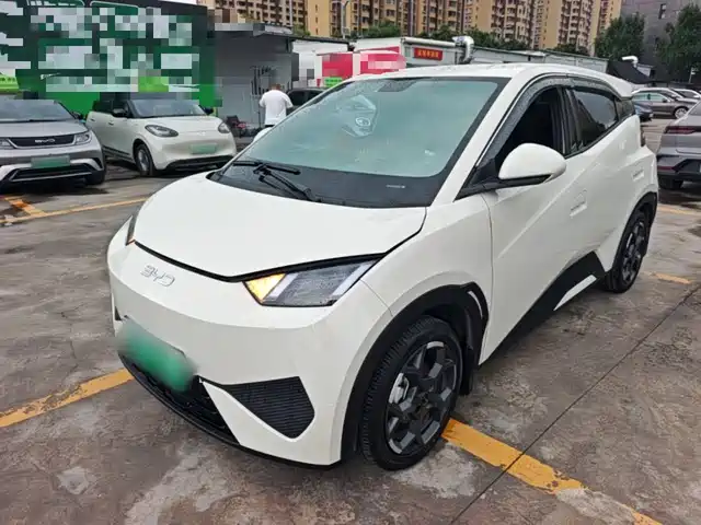 BYD Seagull Система помощи водителю, 405km, Free