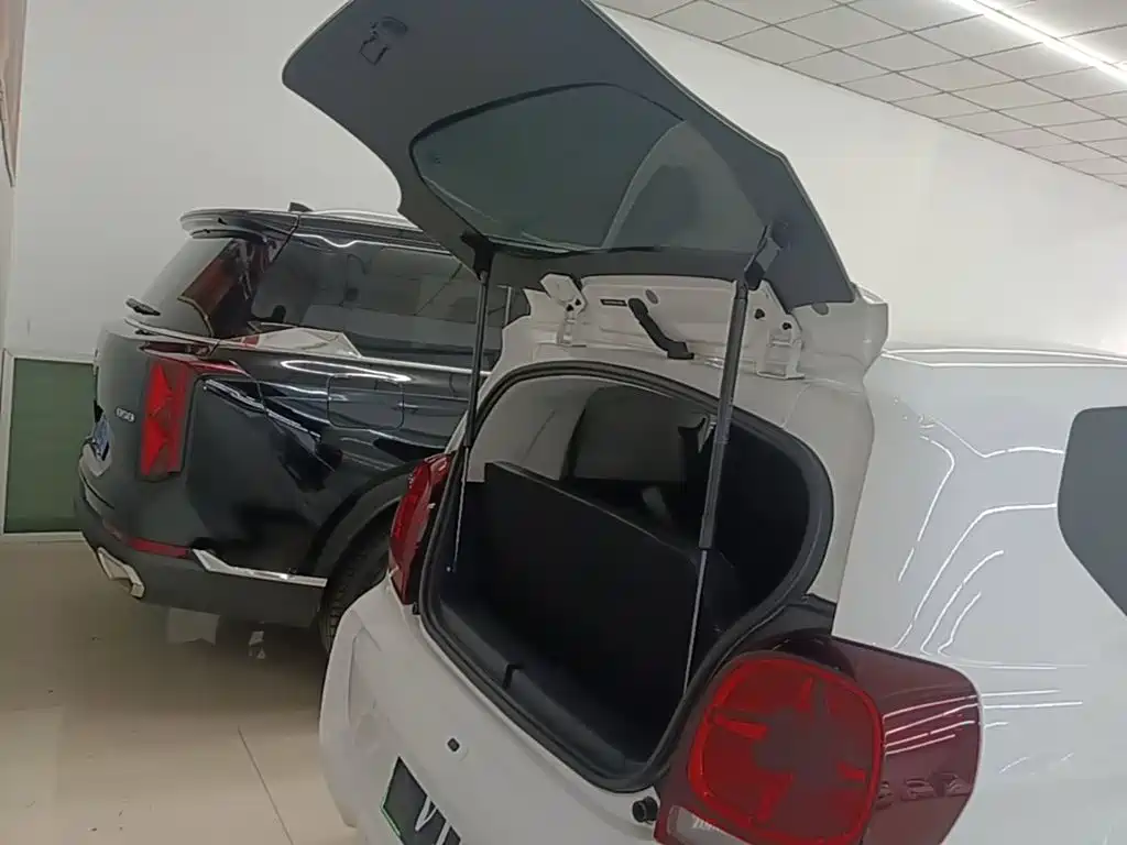 Roewe Clever 2024 2022 311km Vitality Bobo Edition