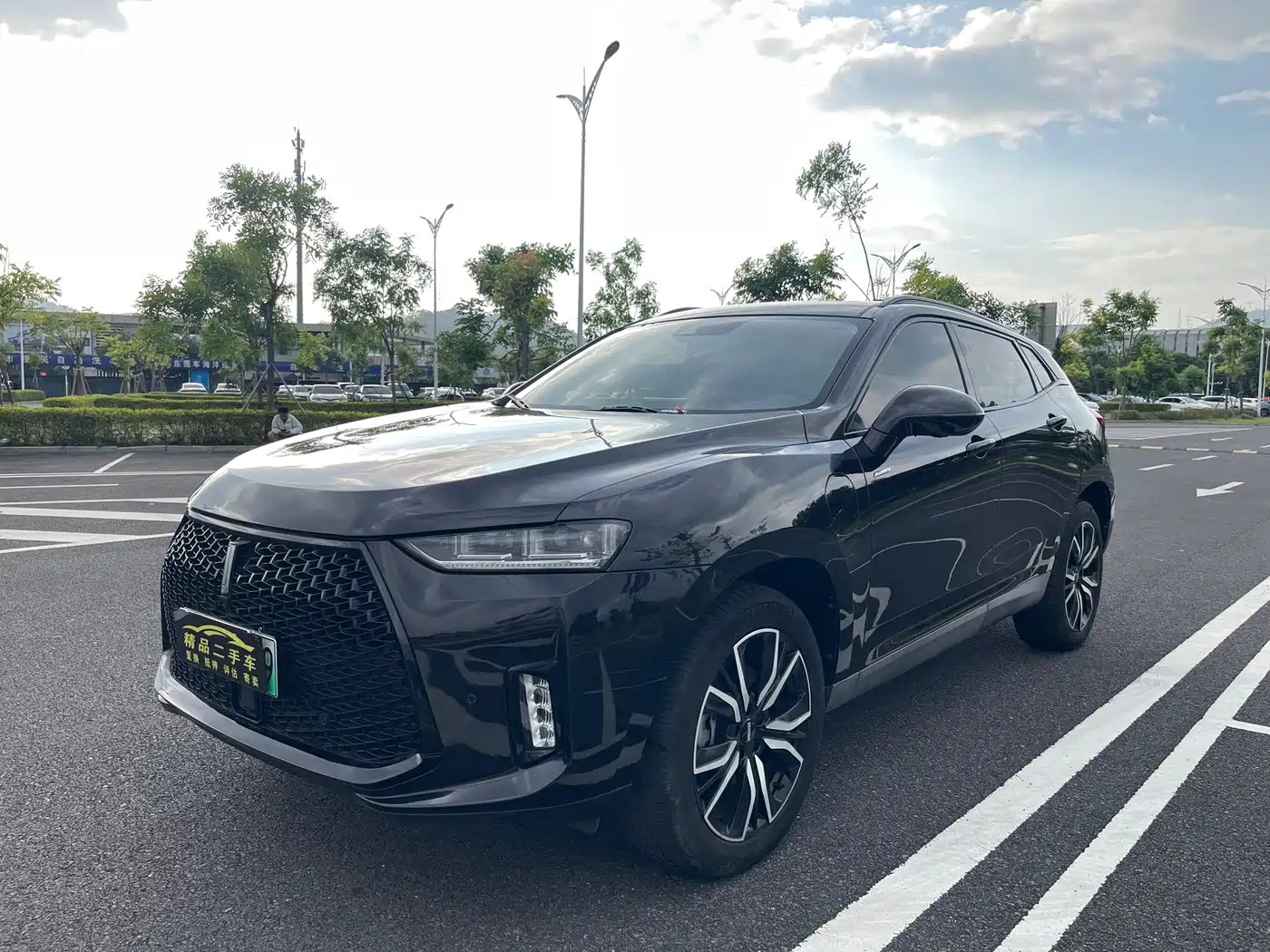 WEY P8 2018 2018 2.0T Exclusive