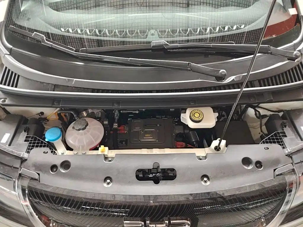 BYD Dolphin 2026 2025 420km Freedom Edition