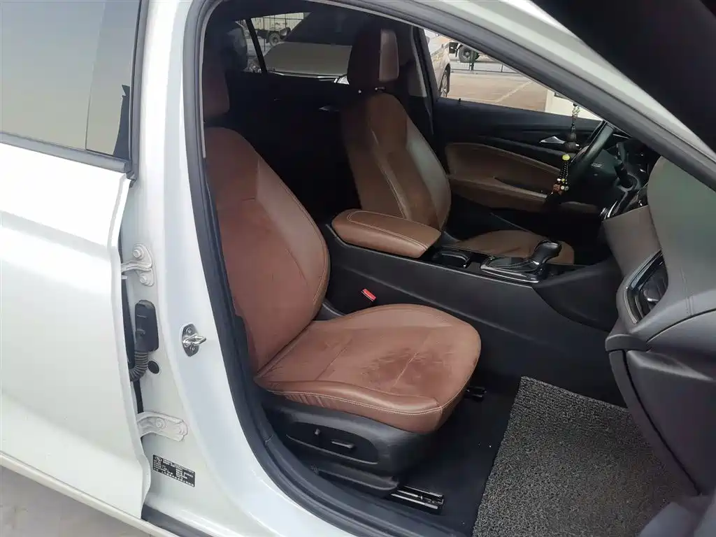 Buick Regal 2017 20T Elite Type фото 25
