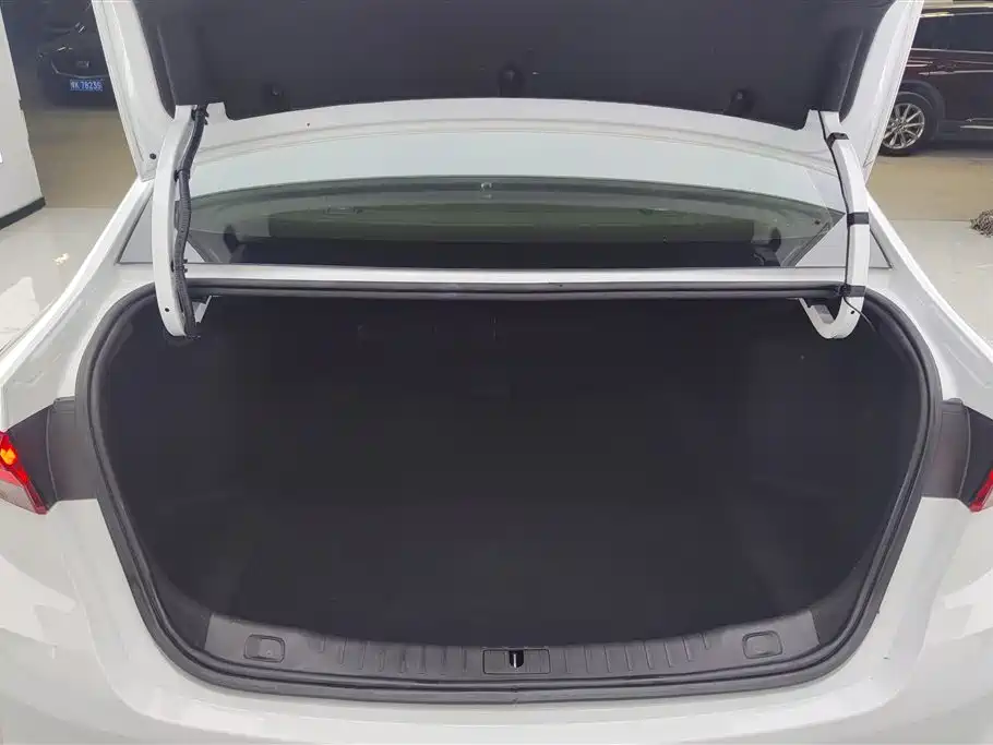 BUICK WEILANG