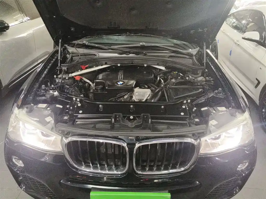 BMW X3 (Import) 2016 Model xDrive20i M Sport фото 16