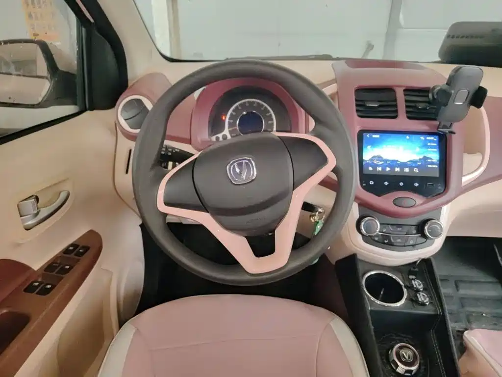 Changan Benben E-Star 2022 2022 Appreciation Edition Colorful LFP