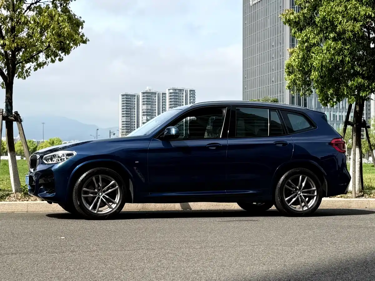 BMW X3 2019 xDrive30i Leading M Sport Package фото 5