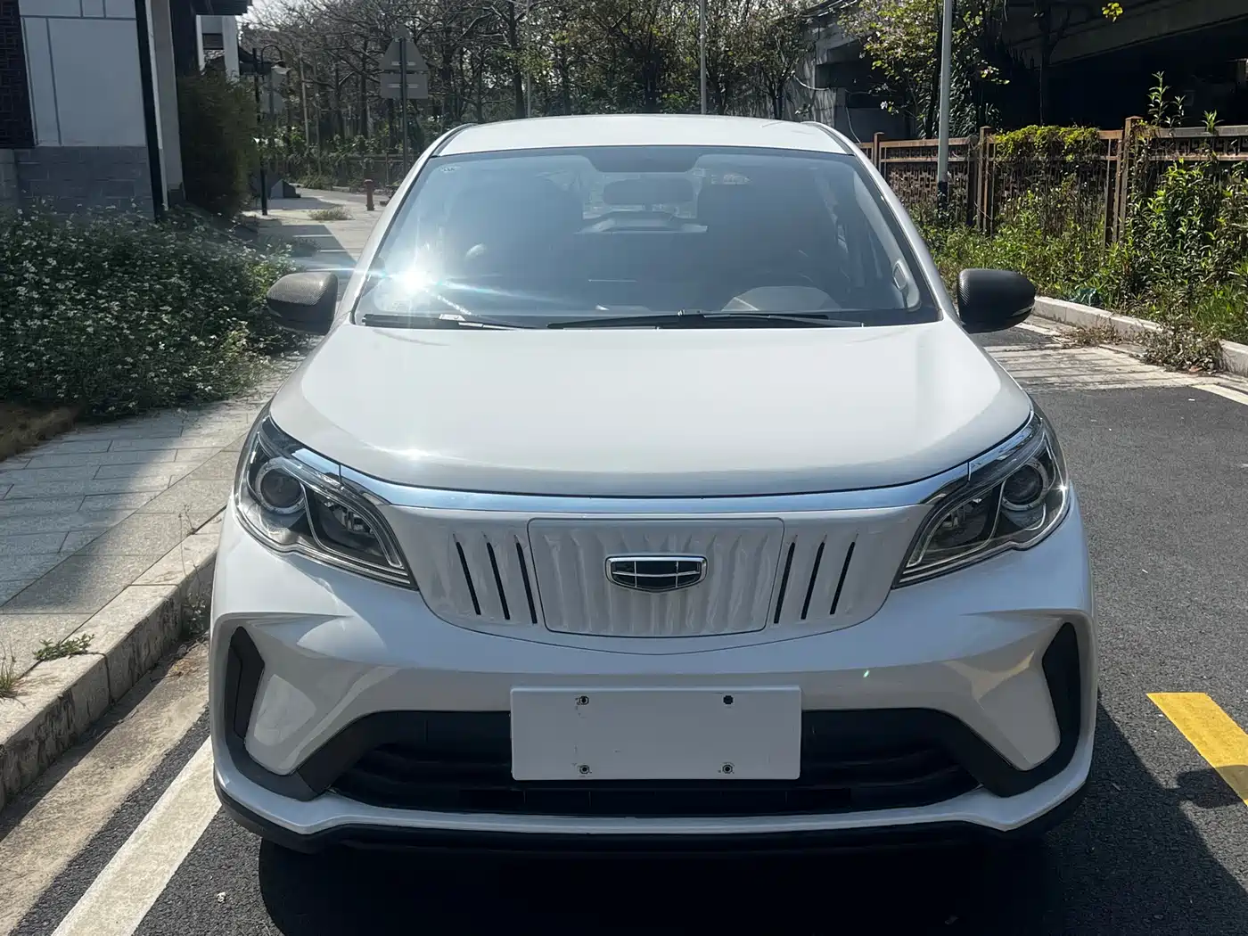 GEELY GEOMETRY EX3 KUNG FU COW