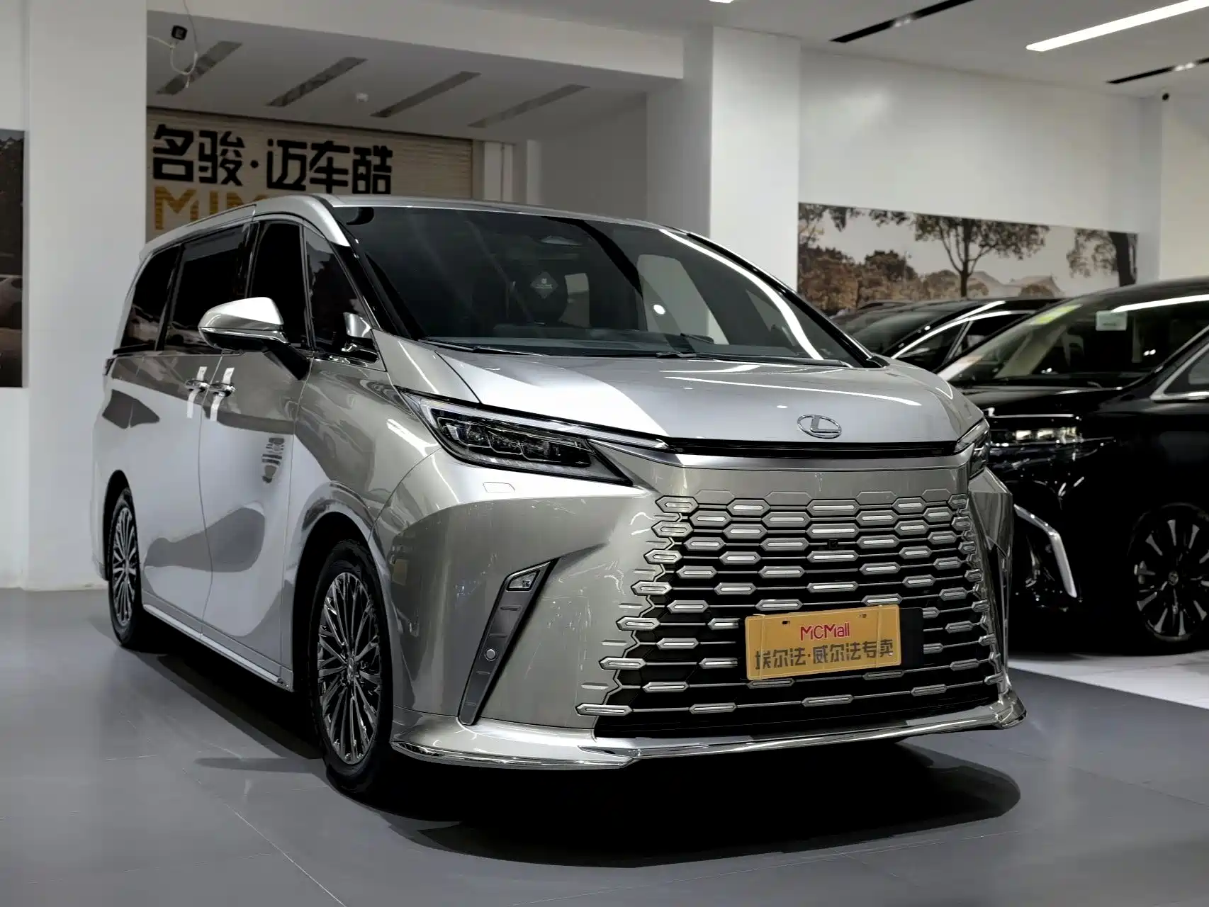 Фото 4 - Lexus LM