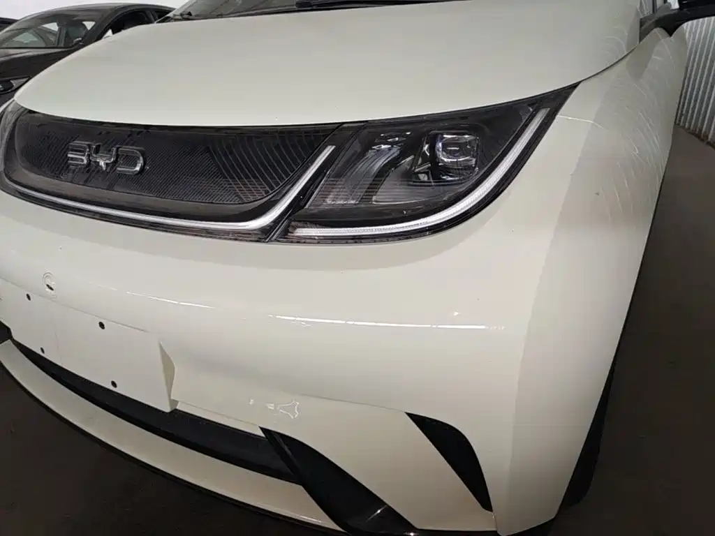 Photo 24 - BYD Dolphin