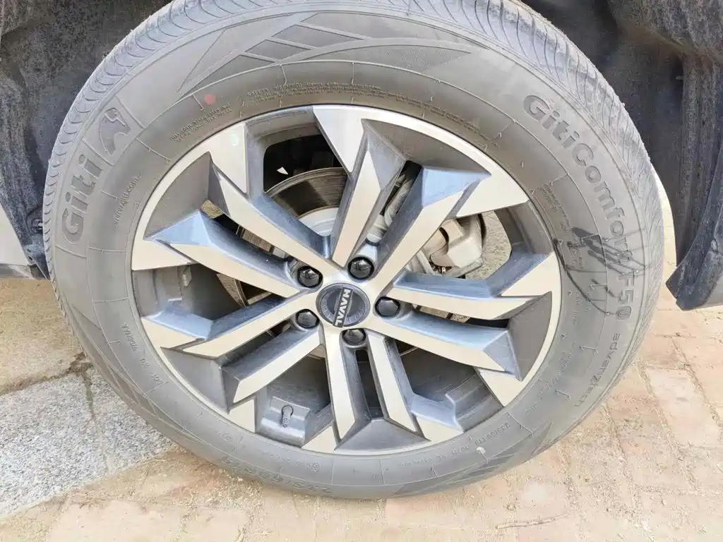 Haval Da Gou 2nd Gen 2024 2023 2.0T AWD Wild Adventure Plus