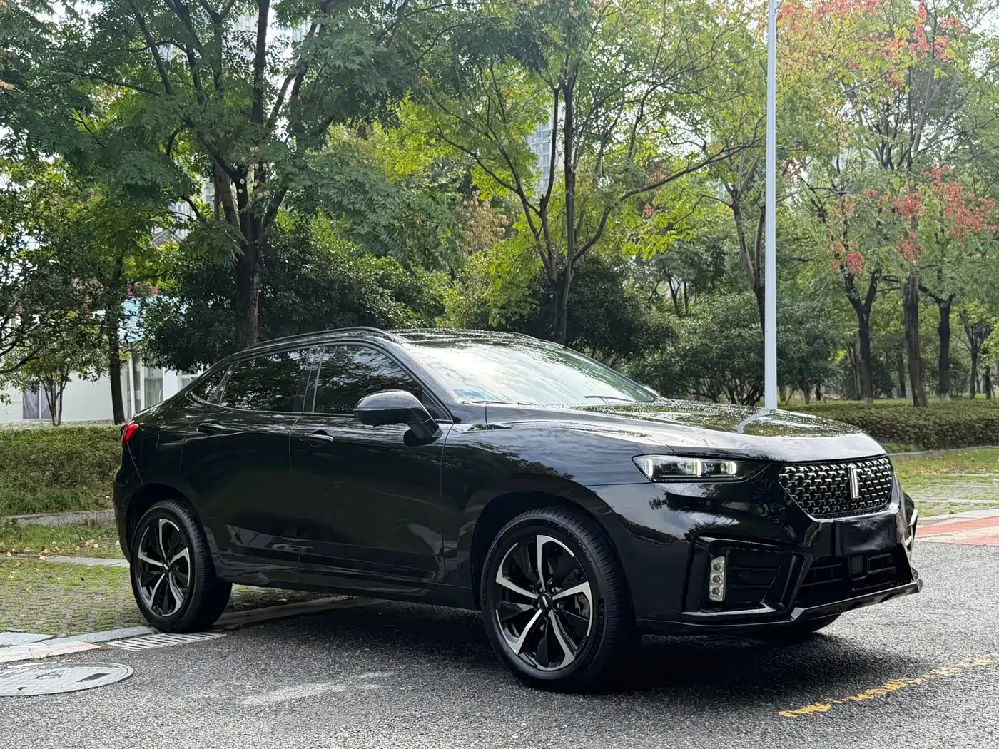 WEY Wei VV7 GT 2021 2020 2.0T Flagship