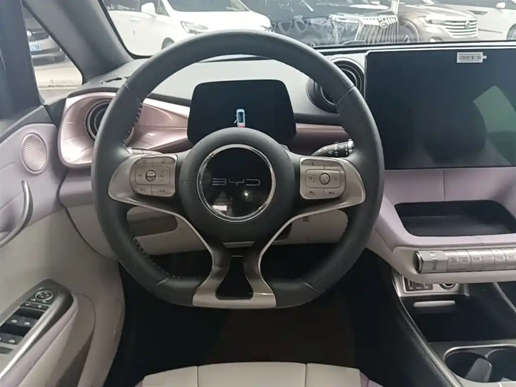 BYD Dolphin 2021 Model 405km Fashion Edition фото 11