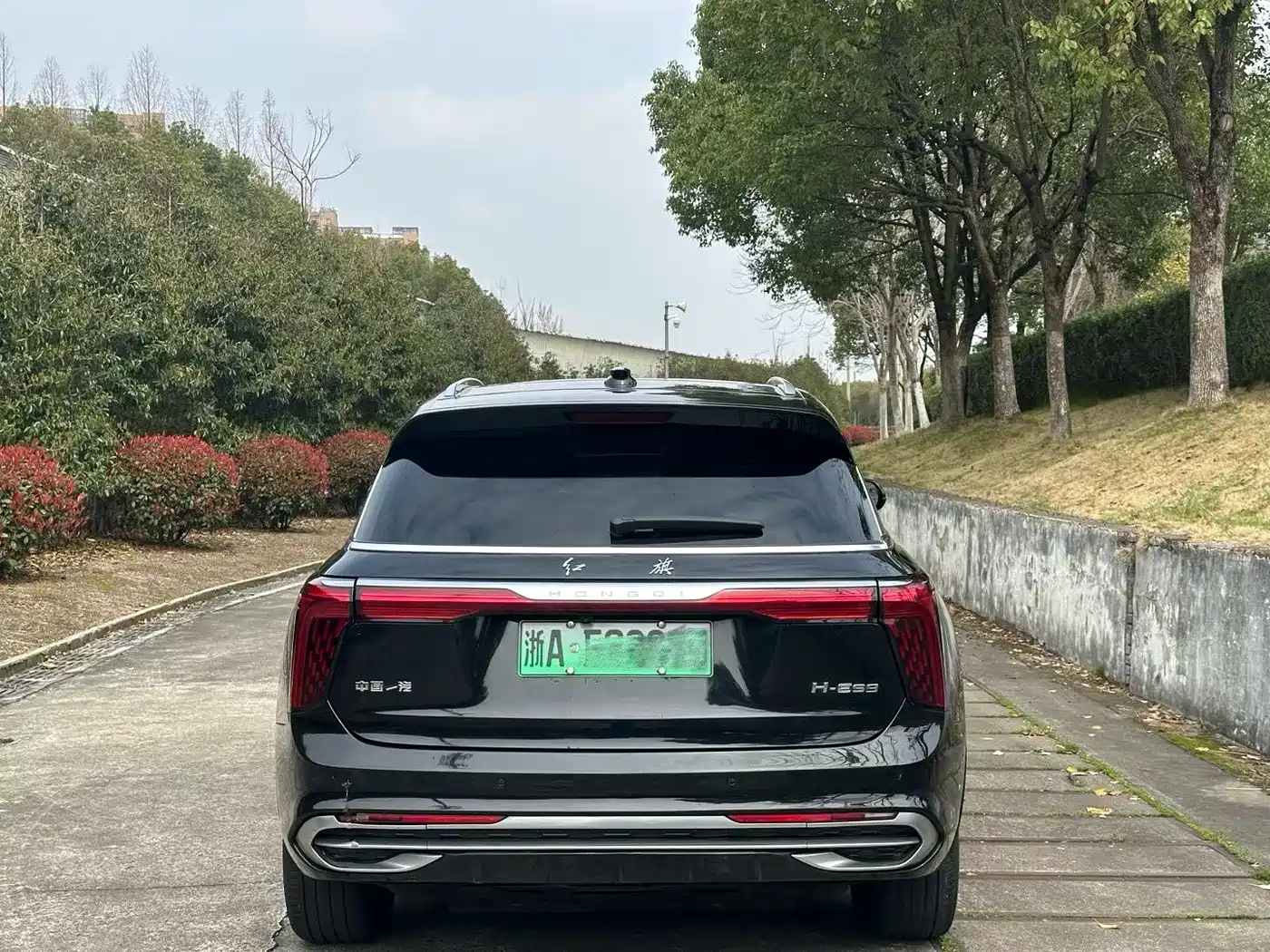 Hongqi HONGQI E HS9