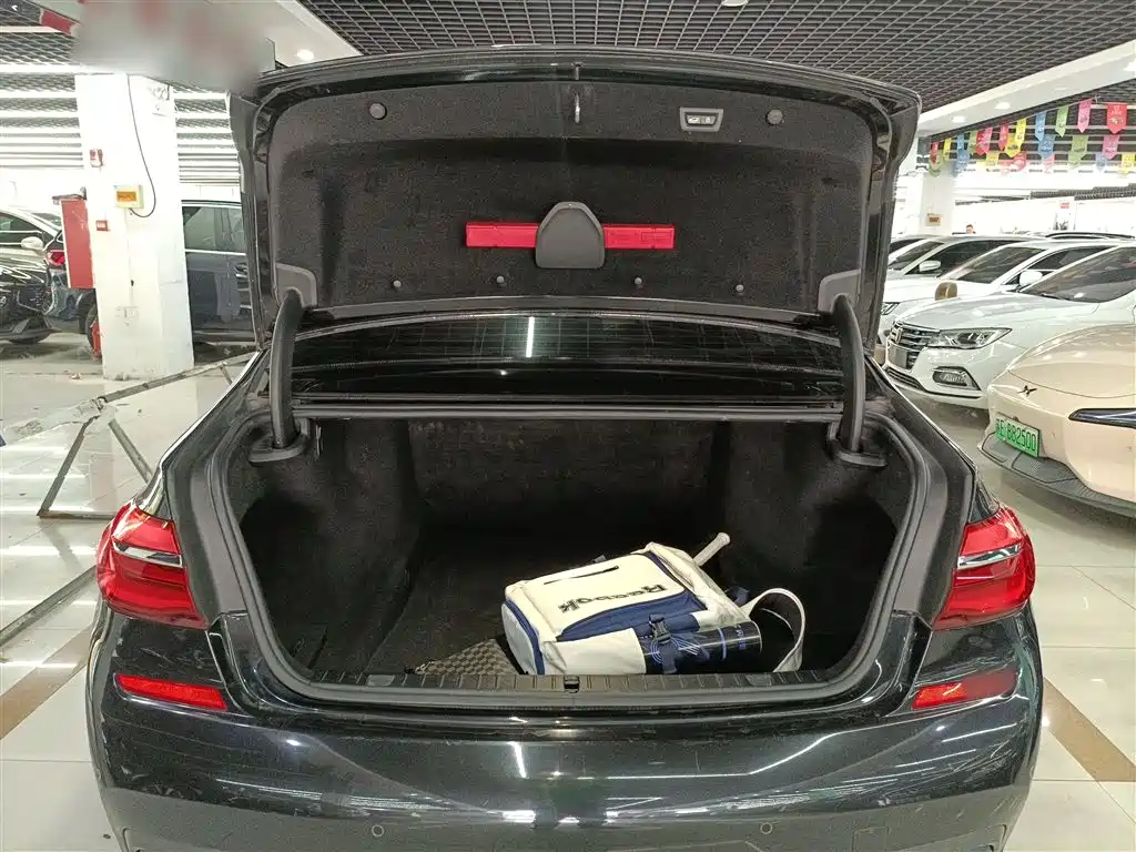 BMW 7 Series 2018 730Li Leading Type M Sport Package фото 9